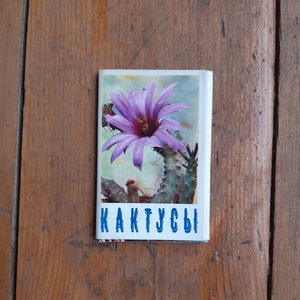 ensemble de 15 cartes vintage cactus, cartes de plantes de cactus en fleurs, ensemble de cartes floral vintage, cartes botaniques, cartes postales de cactus, papier de collection