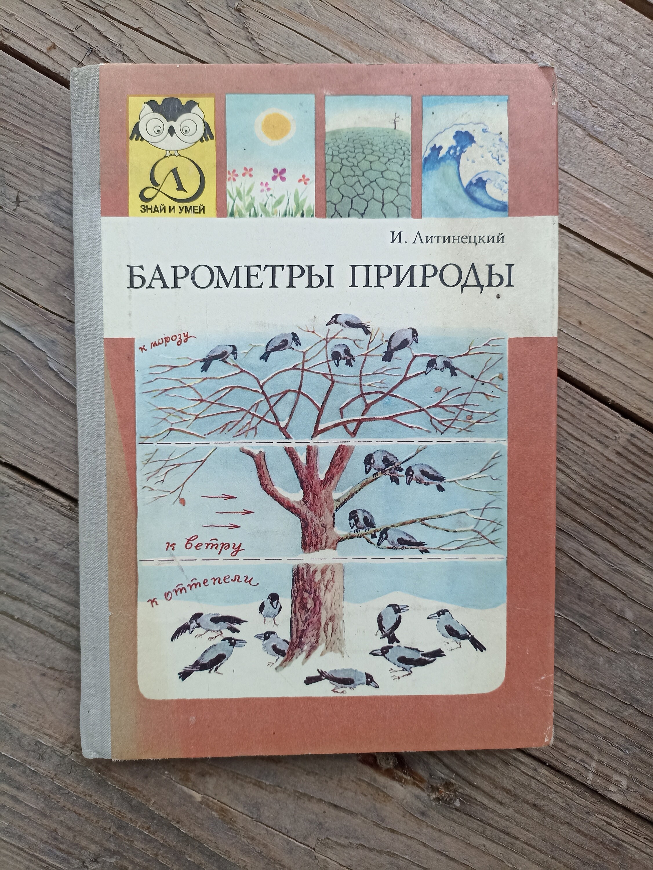 Vintage Soviet Kids Book, Children Book About Nature, Old Children Book ...