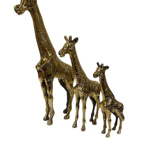 May include: A set of three brass giraffe figurines. The giraffes are in varying sizes, with the tallest one standing prominently. The brass finish gives them a shiny, golden appearance. The giraffes are standing on a white background.