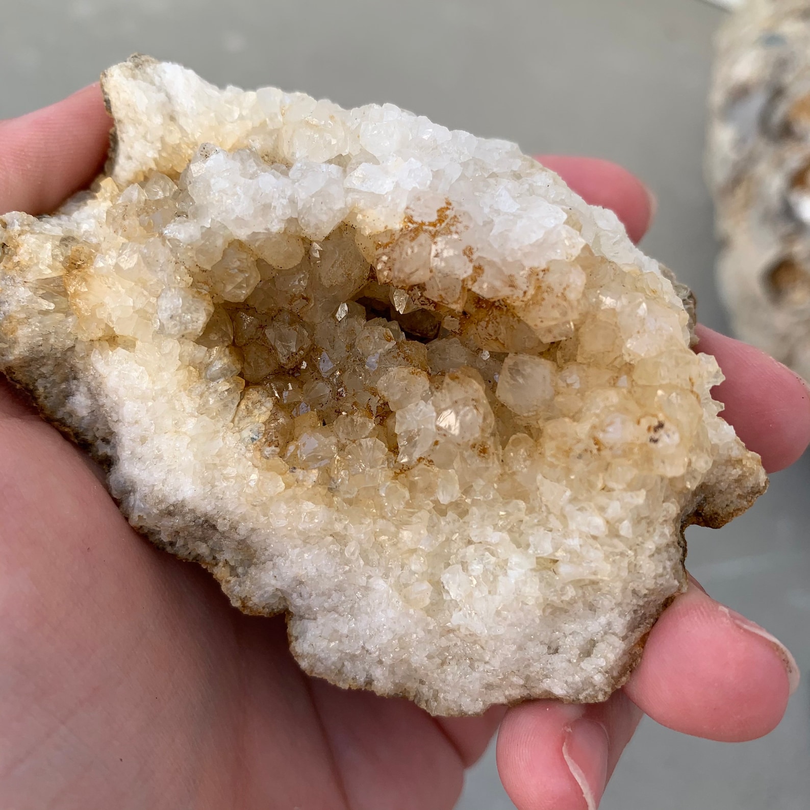 Natural Kentucky Geode Beautiful Quartz Crystals 8.3 Etsy