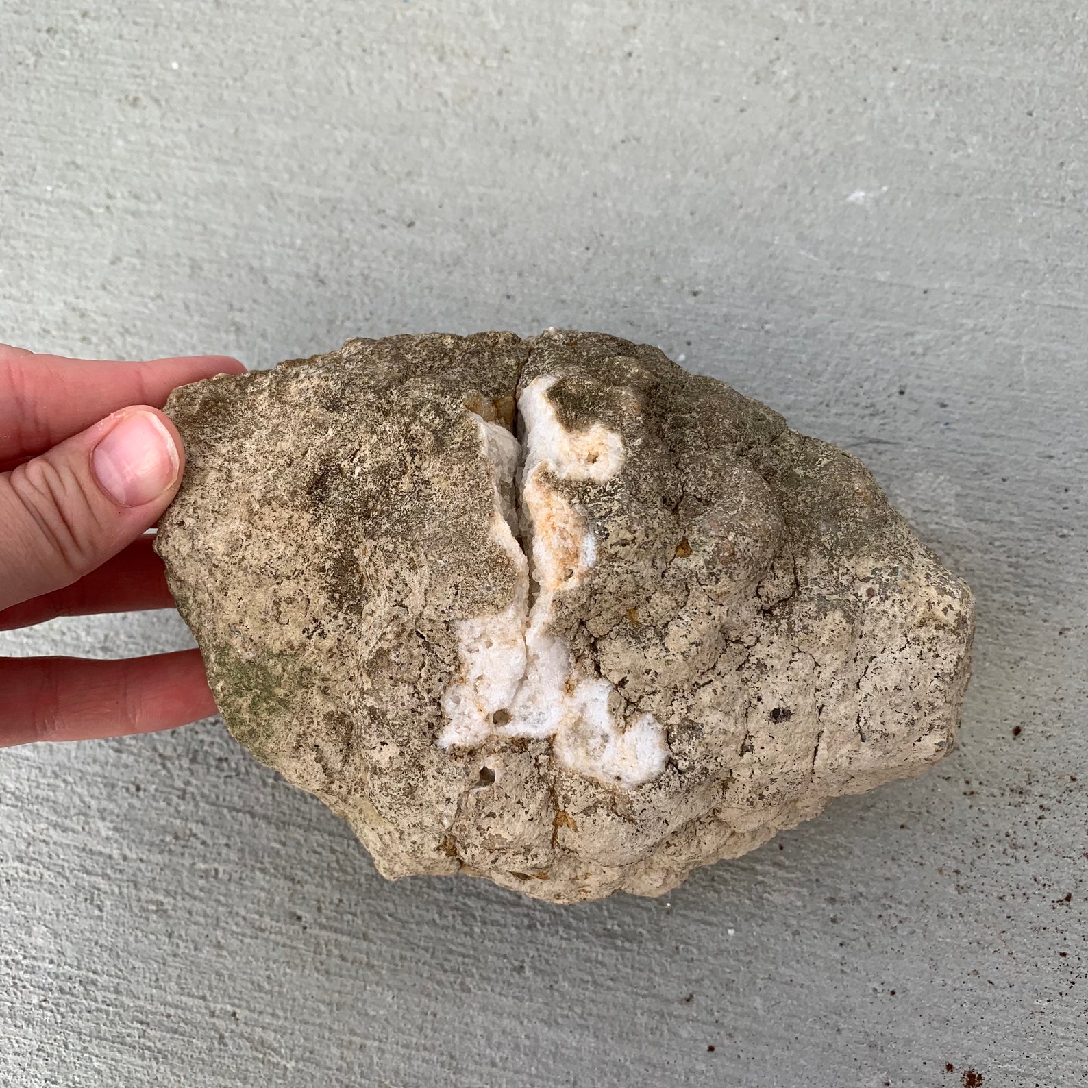 Large Natural Kentucky Geode Both Halves Beautiful Clear Etsy