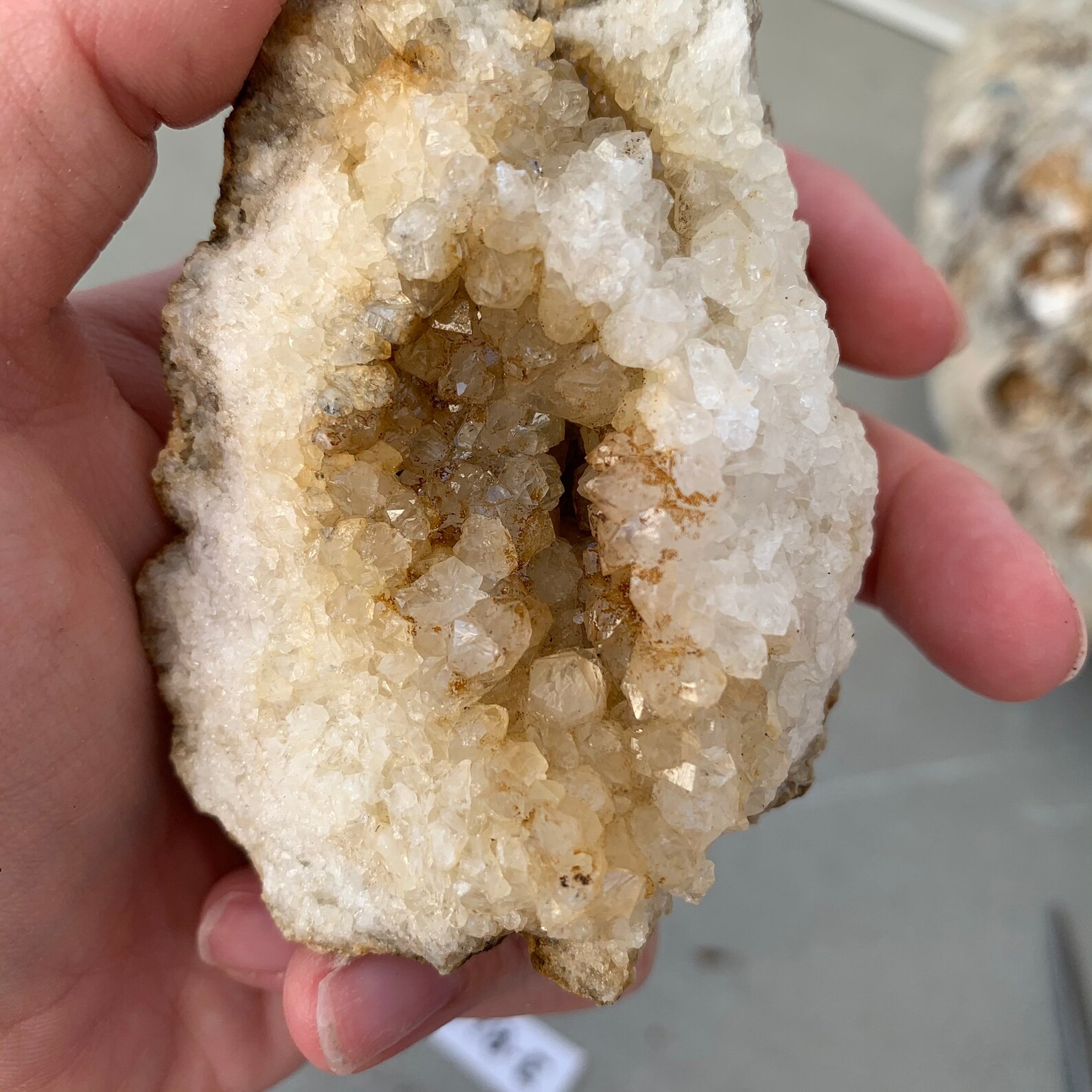 Natural Kentucky Geode Beautiful Quartz Crystals 8.3 Etsy