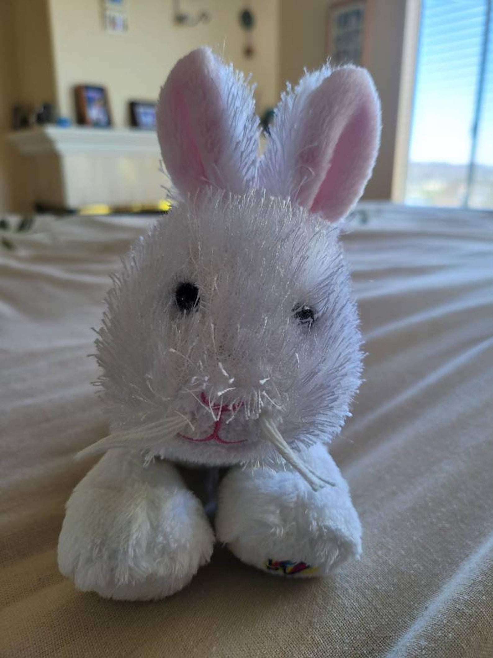 Webkinz Collecter. Lil-kinz Rabbit - Etsy
