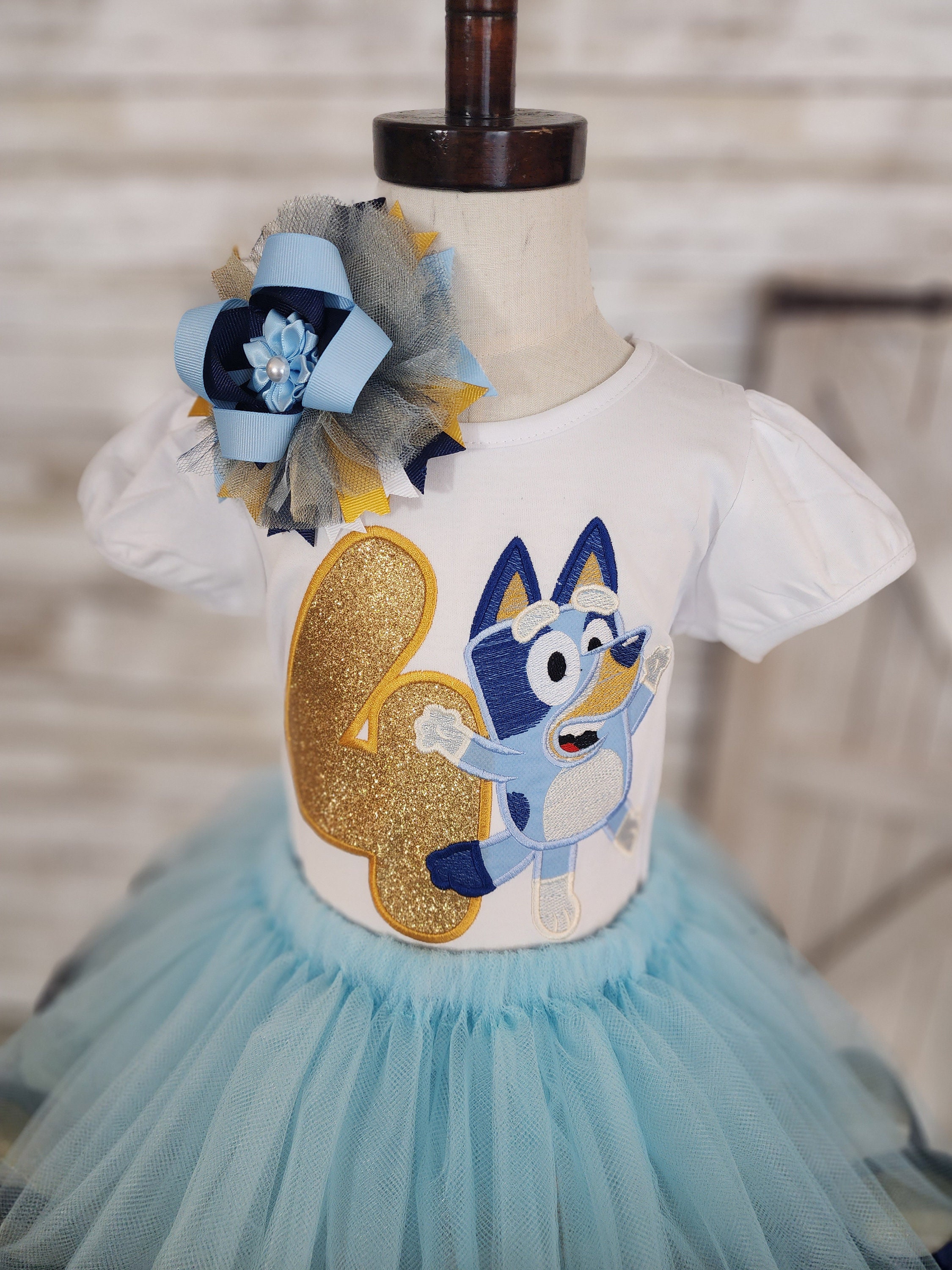 Blue Heeler Birthday Outfit