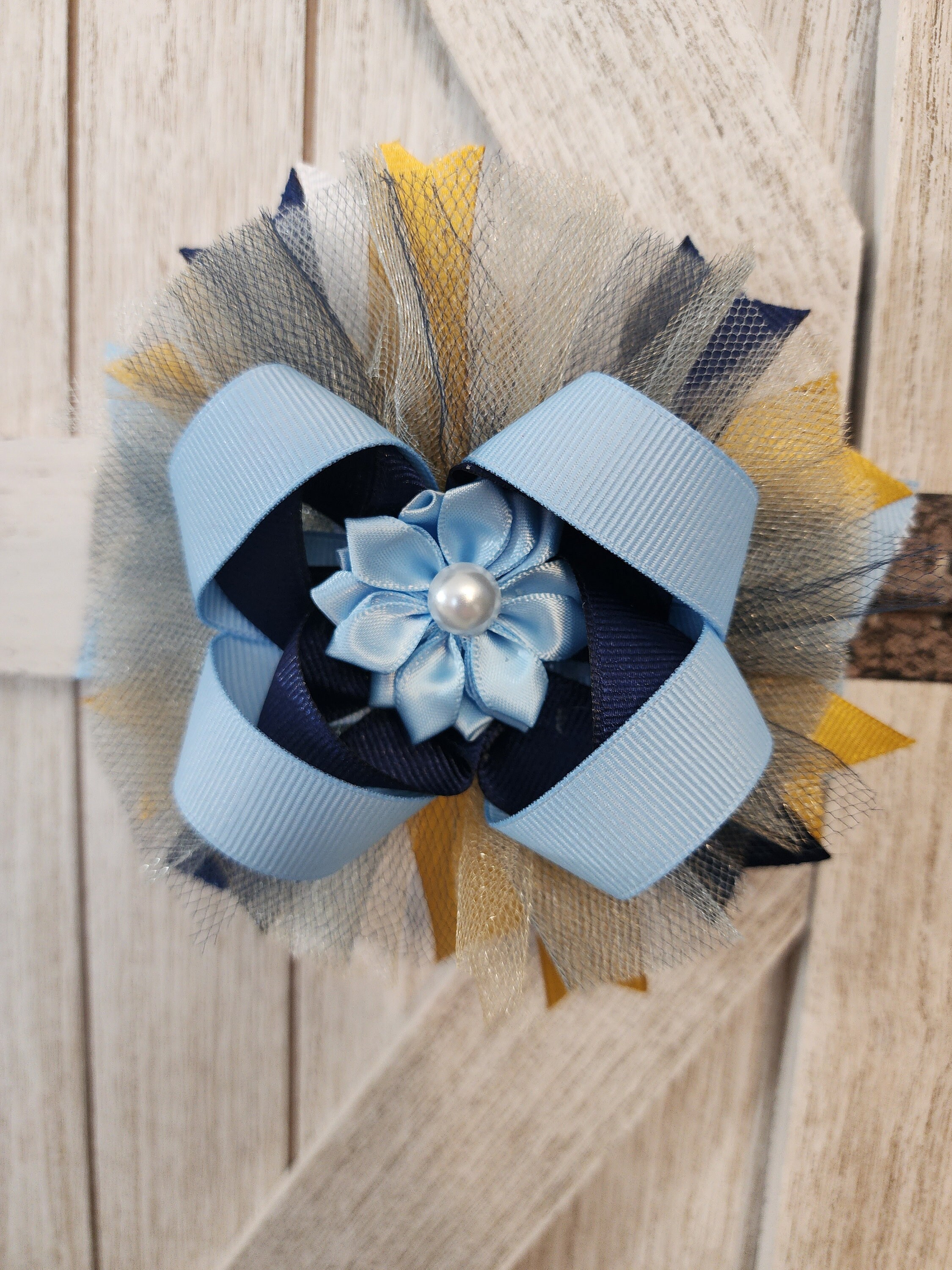 Blue Heeler Birthday Outfit