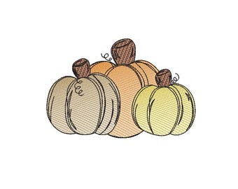 Diseño de boceto de calabazas, diseño de otoño, diseño de bordado de calabaza, bordado a máquina, ARCHIVO DIGITAL