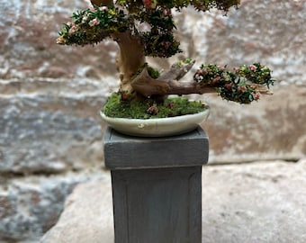 12th scale bonsai on plynth