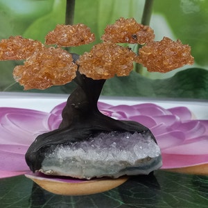 Citrine GemstoneTree set on Amethyst.