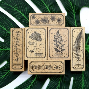Pieczątka z gumy leśnej do tworzenia kartek scrapbookingowych, dziennika, planera, dekoracji DIY, kwiatów, liści kwiatowych, 8 stylów