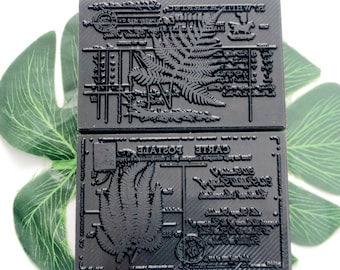 Large Jungle Fern Wood Rubber Stamp: Card Making, Scrapbooking