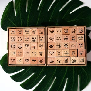 Op de afbeelding: Twee houten dozen gevuld met kleine, vierkante blokken, elk met een handgetekend emoji-gezicht. De blokken zijn lichtbruin en de gezichten zijn getekend met zwarte inkt. De dozen liggen op een bed van grote groene bladeren.