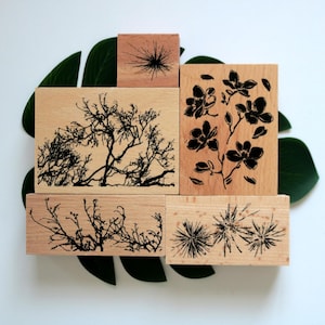 Galhos de fogos de artifício, carimbo de borracha, galhos, carimbo de madeira para fazer cartões, scrapbooking, diário decorativo, ferramenta de diário, 5 estilos