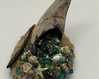 Cornucopia of the Sea