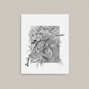 Art Print, &#39;The Other Reef&#39;, The Great Southern Reef, underwater diving scenery, seascape