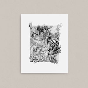 Art Print, &#39;The Other Reef&#39;, The Great Southern Reef, underwater diving scenery, seascape