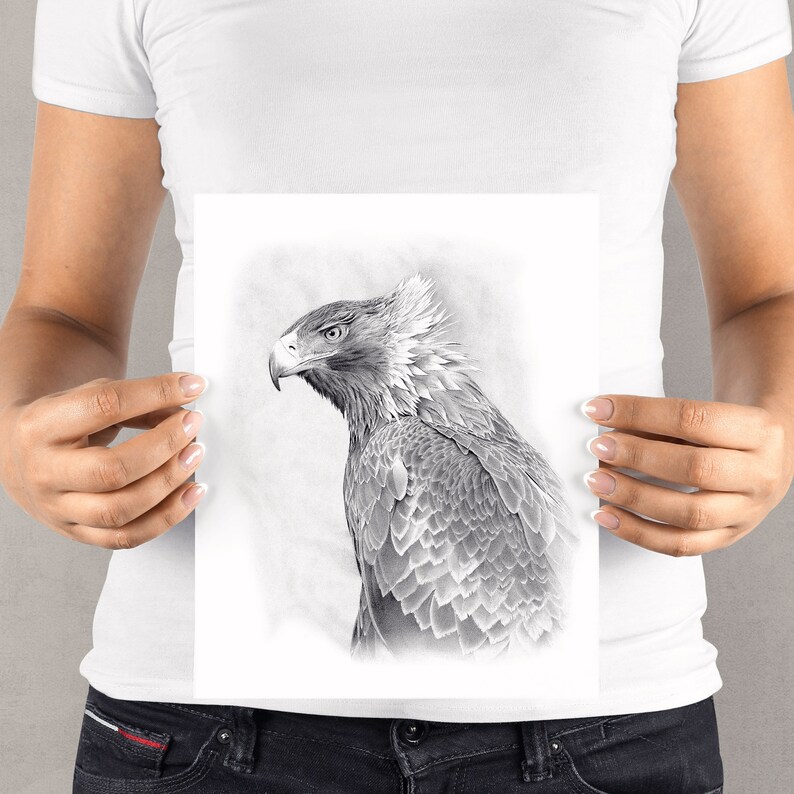 Art Print, 'the Watchman', Wedge Tailed Eagle, Large Eagle Picture - Etsy