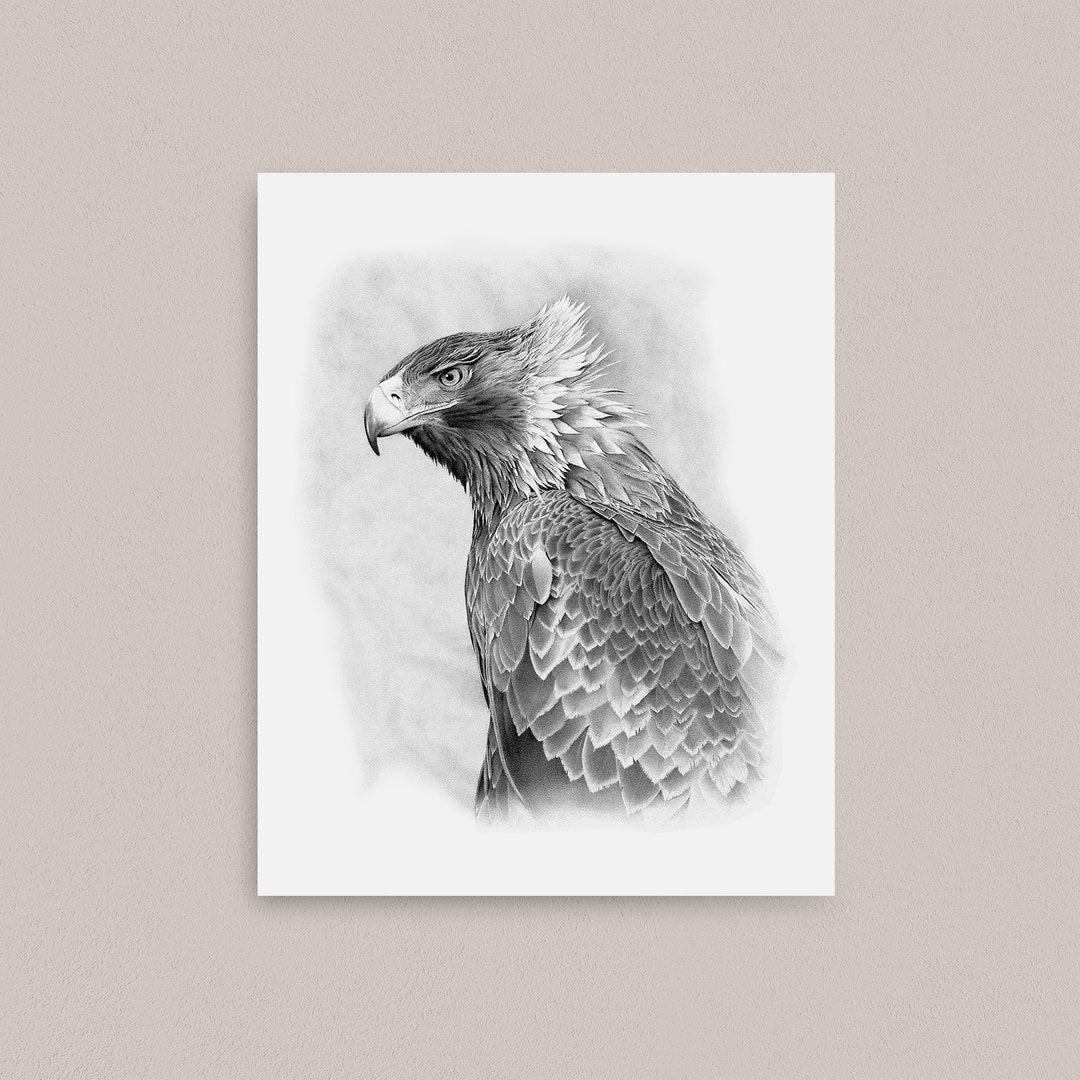 Art Print, 'the Watchman', Wedge Tailed Eagle, Large Eagle Picture - Etsy