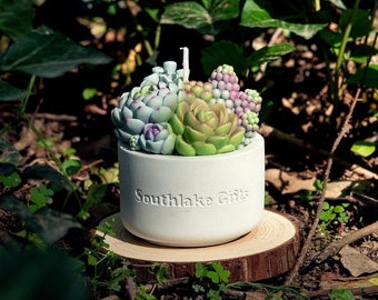 Succulent Candle with Concrete Vessel | Succulent Candle | Handmade Candle | Concrete Candle Vessel | Plant Candle | Home Decor Candle Gifts