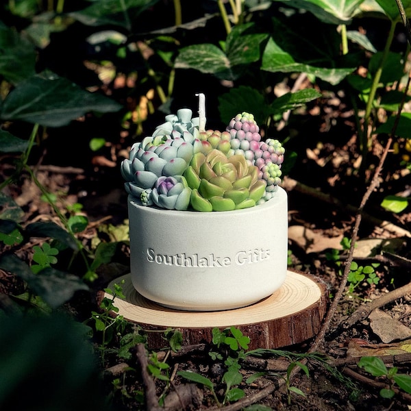 Succulent Candle with Concrete Vessel | Succulent Candle | Handmade Candle | Concrete Candle Vessel | Plant Candle | Home Decor Candle Gifts