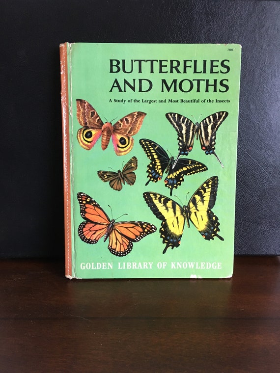 Butterflies and Moths Book Golden Library of Knowledge 1958 | Etsy