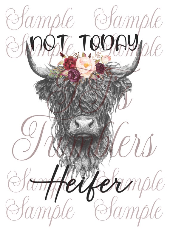 Highland Cow Not Today Heifer PNG Digital Download - Etsy