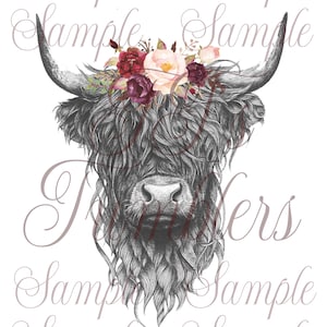 Highland cow PNG Digital Download