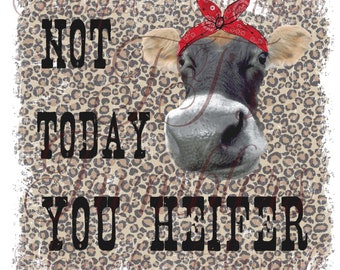 Puede incluir: Una vaca con una bandana roja en la cabeza está sobre un fondo de estampado de leopardo. El texto "NOT TODAY YOU HEIFER" está escrito en letras negras en la imagen.