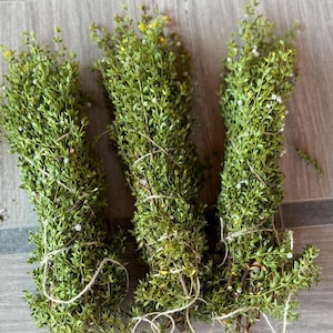 Fresh Creosote Bundle, handpicked fresh chaparral, harvested and shipped same day, Arizona desert rain, pesticide  free