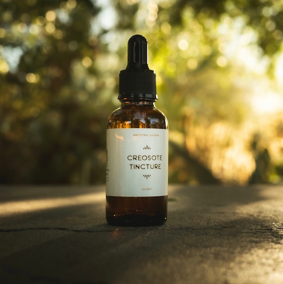 Creosote Tincture, Wildcrafted Herbal Extract, Chaparral