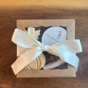Fall Skincare Gift Set, Natural Tallow Skincare for Fall, Wrapped Gift Box, Salve, Lip Balm and Fall Soaps, Organic, Handcrafted