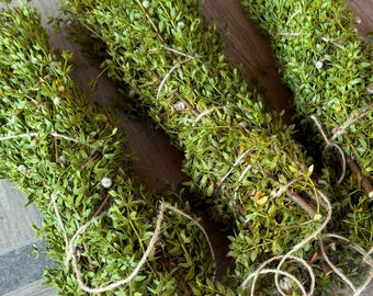 Fresh Creosote Bundle (Chaparral) – Handpicked Desert Rain Herb for Shower, Smudging, Cleansing, Arizona Desert Rain Shower Bundle