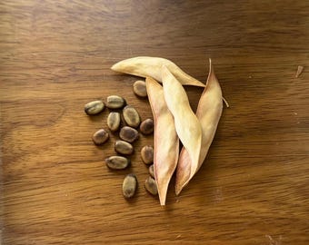 May include: A collection of seeds and seed pods on a wooden surface. The seeds are small, oval-shaped, and brown. The seed pods are long, slender, and beige. The wooden surface has a warm, brown tone.