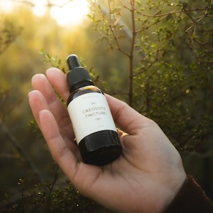 Pu&ograve; includere: Una bottiglia di vetro marrone con un contagocce e un'etichetta bianca che recita "CREOSOTE TINCTURE".