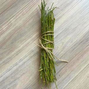 Mormon Tea Bundle, Hand Picked, Pesticide Free