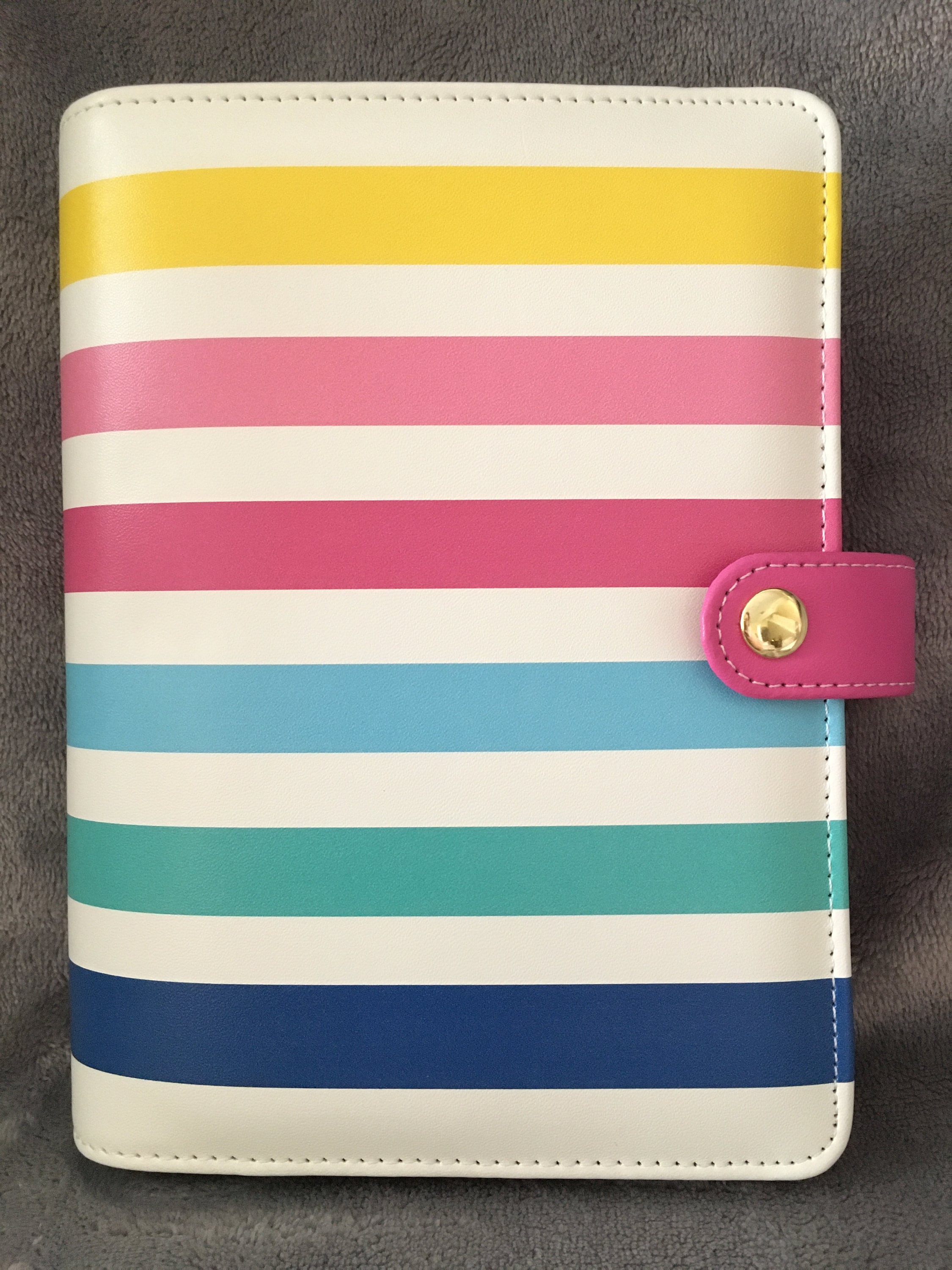 Cash Envelope System Budgeting Binder Organizer Dave Ramsey Etsy