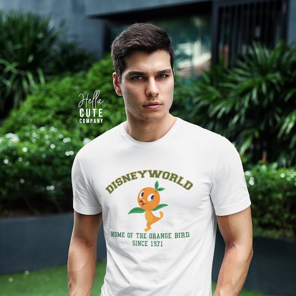 Orange Bird Shirt, Disney World Shirt, Florida Orange Bird Shirt