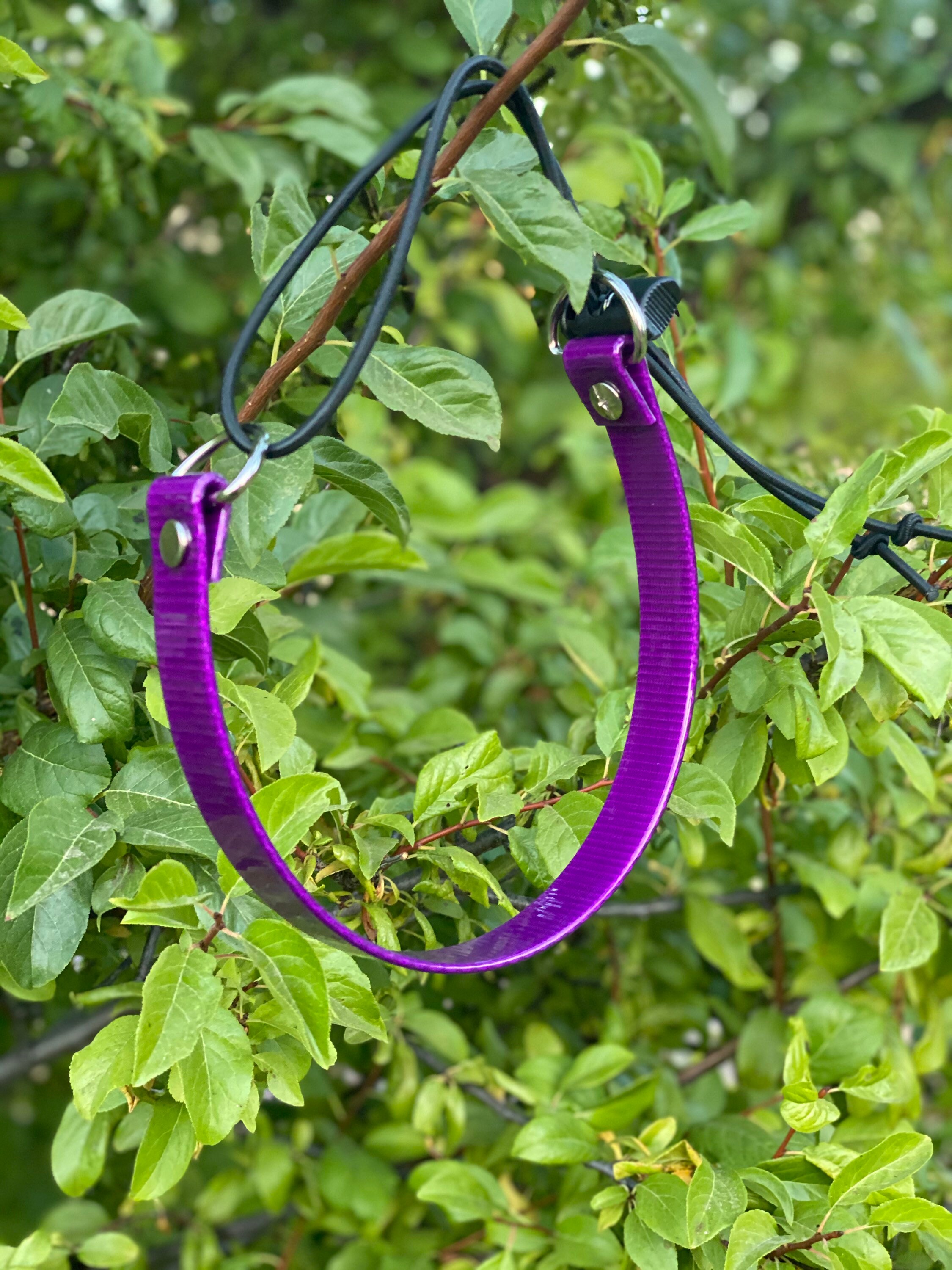 Ecollar Bungee Strap Etsy