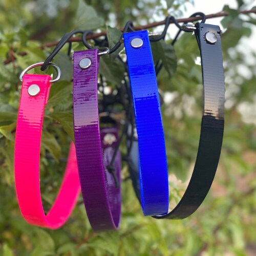 Ecollar Bungee Strap Etsy