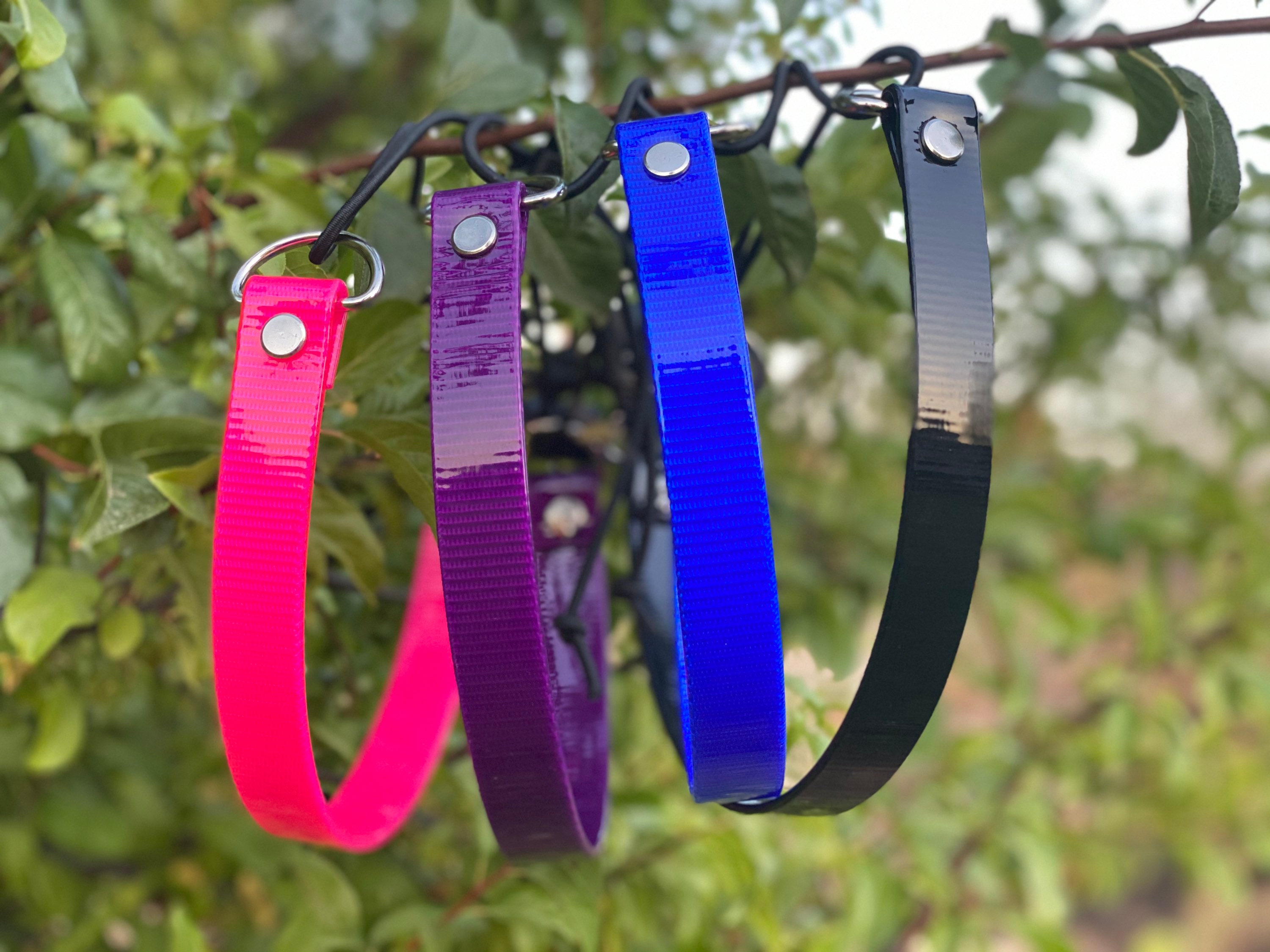 Ecollar Bungee Strap Etsy