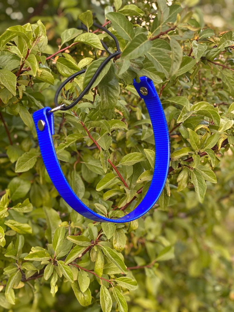 Ecollar Bungee Strap Etsy