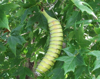 Monarch Butterfly Banana Feeder, Monarch Butterfly Feeder, Banana Butterfly Feeder, Orange Bird Feeder, Oriole Bird Feeder