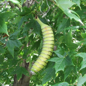 Monarch Butterfly Banana Feeder, Monarch Butterfly Feeder, Banana Butterfly Feeder, Orange Bird Feeder, Oriole Bird Feeder