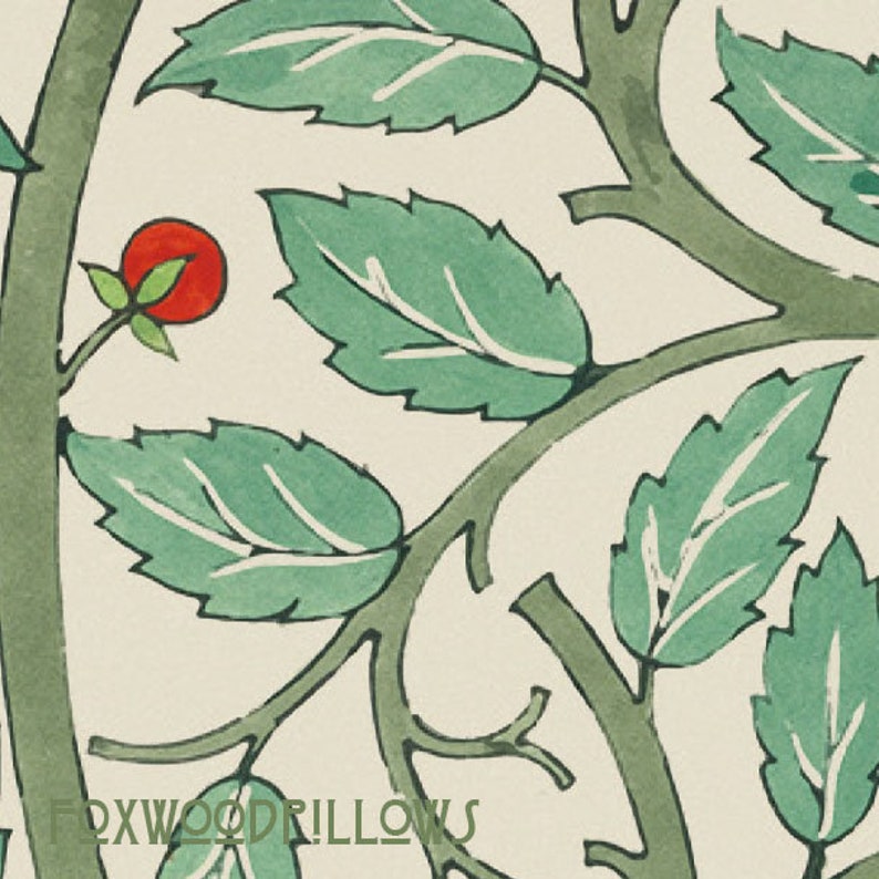 May include: A stylized illustration of a green leafy branch with a single red berry. The branch is drawn in a simple, almost cartoonish style, with the leaves and stem outlined in black. The background is a light cream color.
