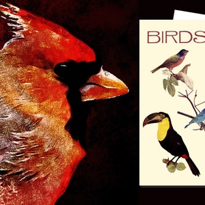 Diario de observación de aves, Actividad de educación en el hogar, Diario de la naturaleza para niños, Actividad al aire libre, Observador de aves, Compre cualquier cuatro diarios Obtenga fifth GRATIS
