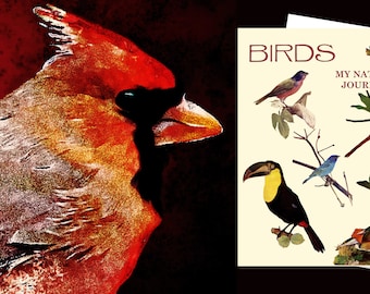 Bird Watching Journal, Homeschool Activity, Nature Journal for Kids, Outdoor Activity, Bird Watcher, Buy Any Four Journals Get Fifth FREE
