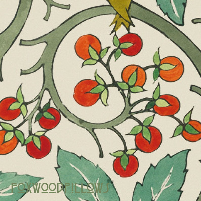 May include: A stylized illustration of a green vine with red berries and green leaves. The vine is drawn in a whimsical style with a white background.