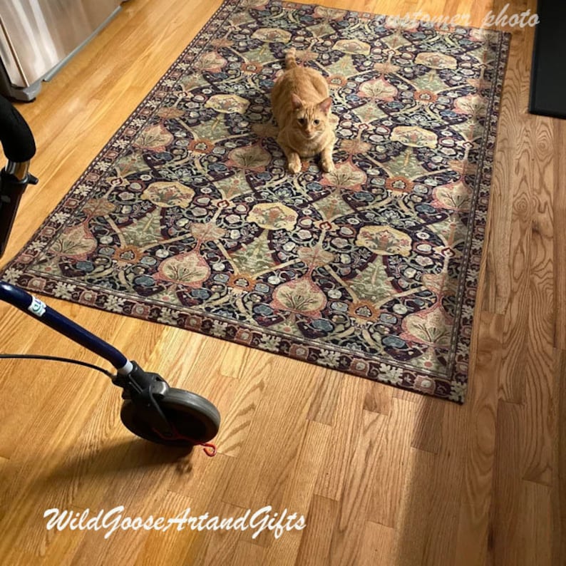 Puede incluir: Un gato jengibre se sienta en una alfombra estampada con un fondo oscuro. La alfombra tiene un dise&ntilde;o floral con tonos de verde, rojo y azul. El gato est&aacute; mirando a la c&aacute;mara.