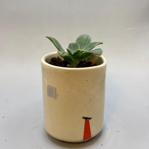 May include: A small succulent plant in a cream-colored ceramic pot. The pot has a minimalist design with a gray square and a red and black shape. The plant has green leaves and is potted in dark soil.