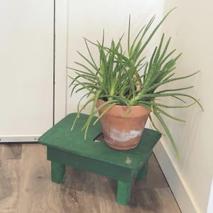 Puede incluir: Una planta de aloe vera con hojas largas y verdes en una maceta de terracota se encuentra sobre un pequeño taburete de madera verde. El taburete tiene una parte superior rectangular con un recorte y cuatro patas cortas. La maceta tiene marcas blancas.