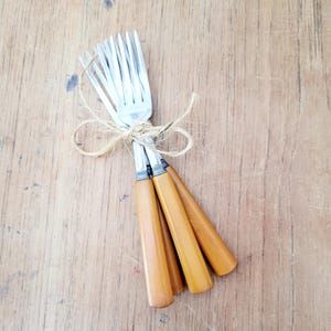 Può includere: Un fascio di quattro forchette vintage legate con spago. Le forchette hanno rebbi argentati e manici color ambra. Le forchette sono disposte su una superficie di legno.